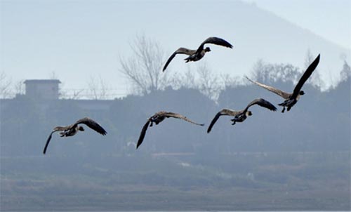 �������һ����衷�����600��