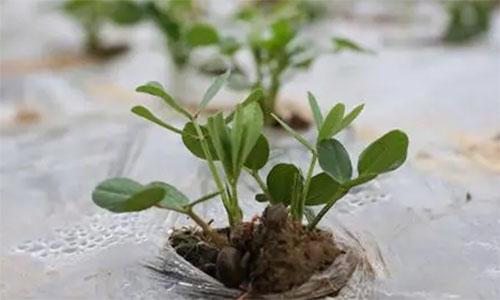 �͸��Ͼ�������