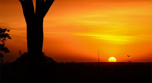 �����ľ���ߵ�