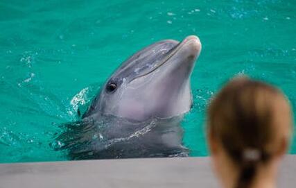 ǰ����ʲô��