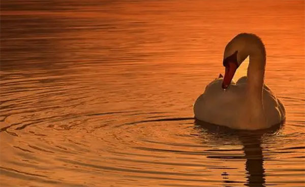 ��������ɺ��������ʼ�800��