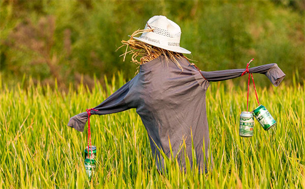 �����˶������600��