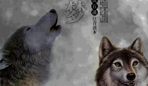 �����ζ������800��