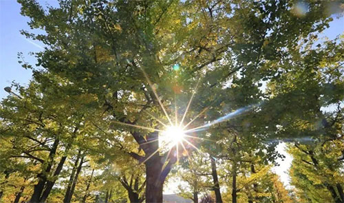 ���ݵĸ���