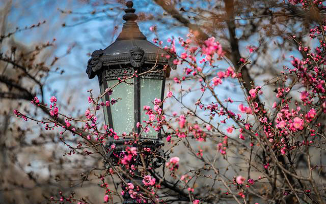 �ų��޴����ɻ�