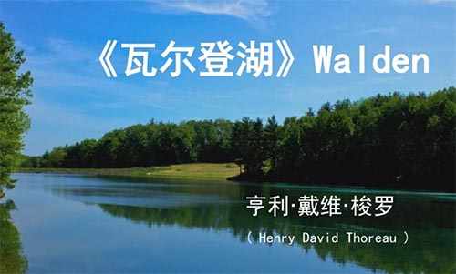 ���߶��Ǻ����������1000��