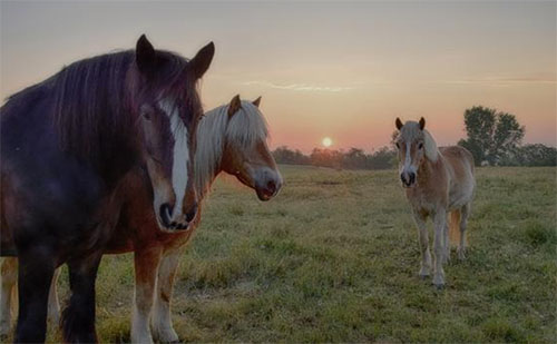 ��ä���������500��