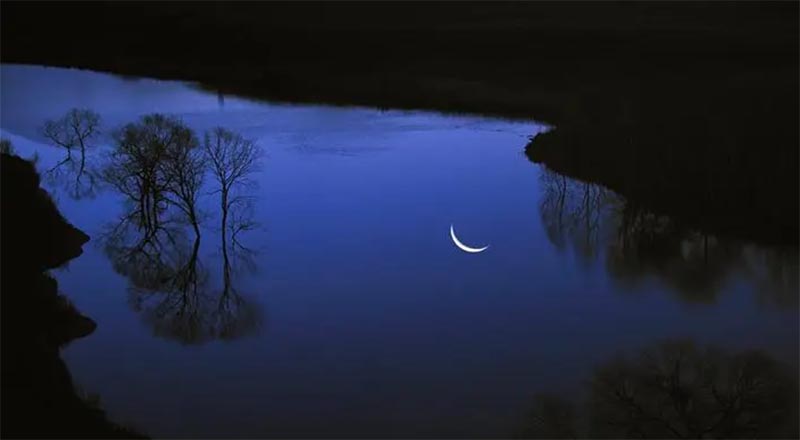 ��Ӱ֮����Ω�Ҷ���