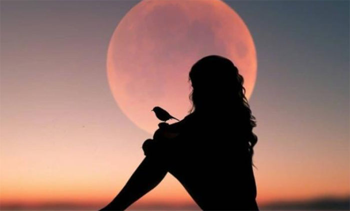 �ƻ����˵�����