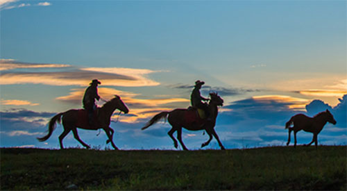 �����ڲ�ԭ��׷�����ա������800��