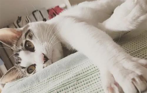 ���ĵ�һ��