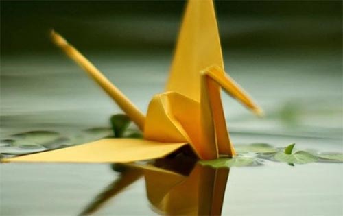 ���Ļ���ð��