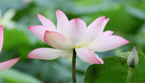 �ҵ�����