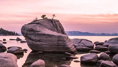 �й��ķ��پ�