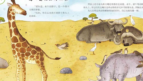 ���ǳ�����汾�������600��