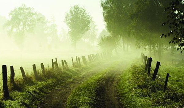 ��ʱ����