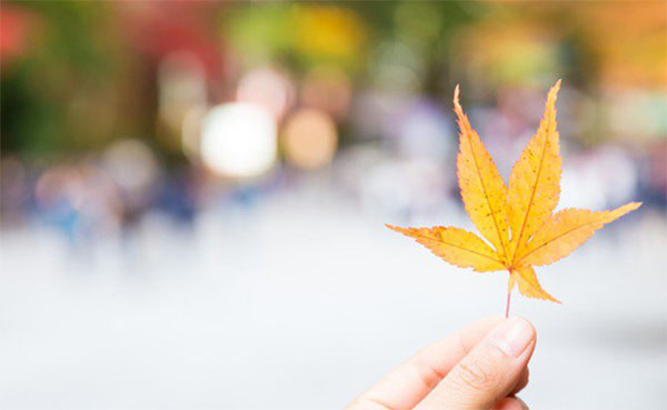 �����ȱ����