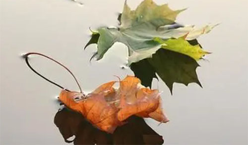 �ֹۻ�����Ҹ�