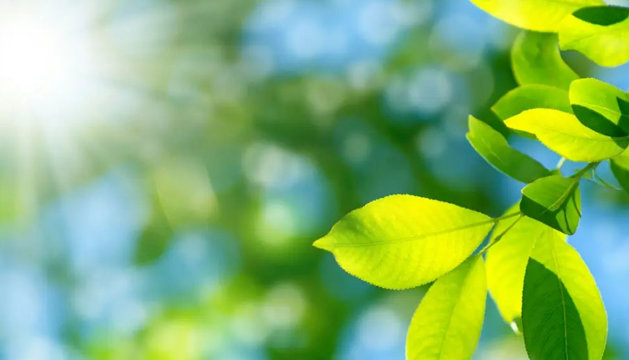 ֻҪ����������......