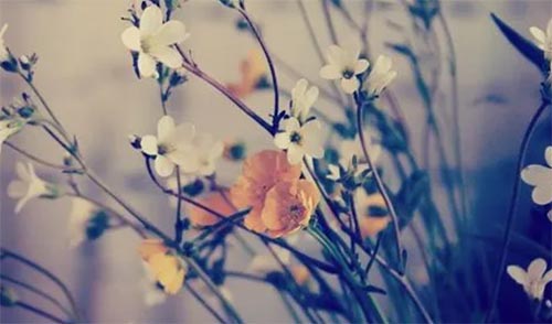 ���ǽ��������