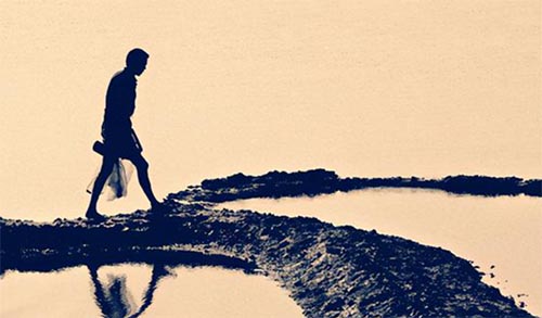 ��֤��̬������