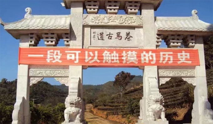 �����ŵ�