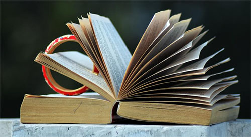 ���֦•���θл�