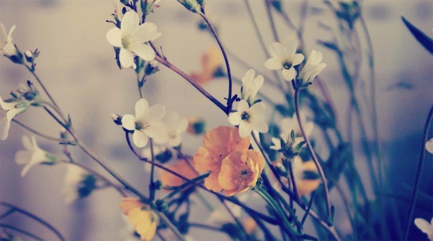 �¹��µ�̸��