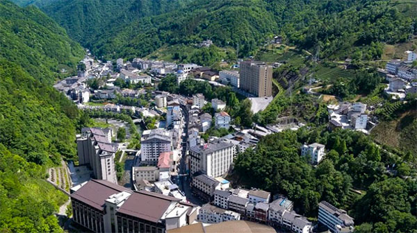 ����ľ����