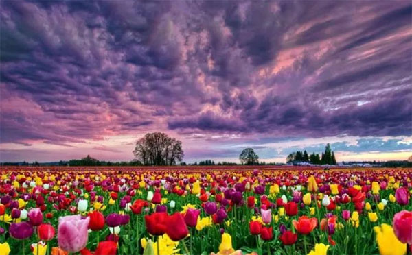 ���ﻨ����峿