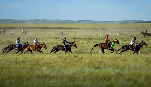 ��ԭ�ϵġ��Ǵ�Ľ��