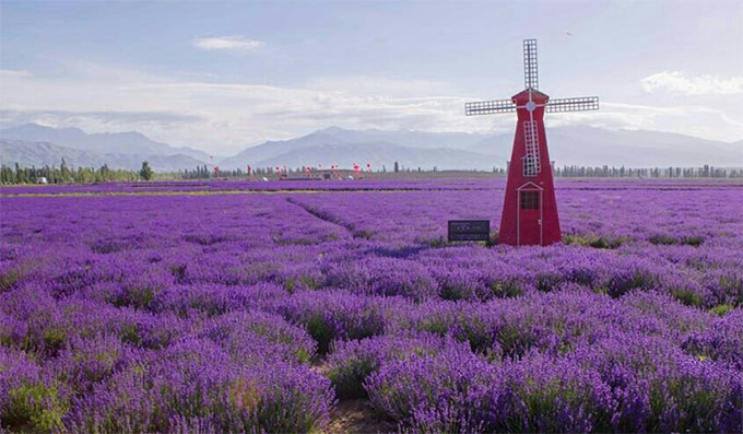 �䡫��������Ҳ���������