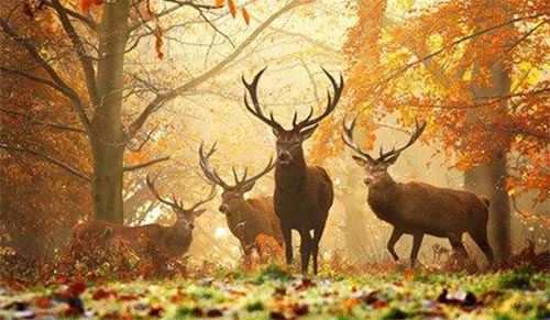 ��������������������ʼ�800��