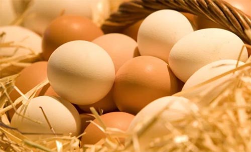 �������ļ���