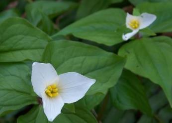 ��ɽ����ˮ������