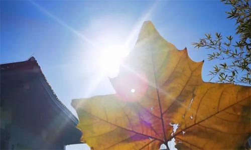 ���õ�һ��