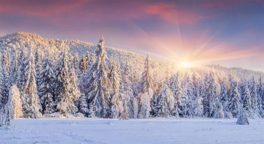 ѩ������ѩ����