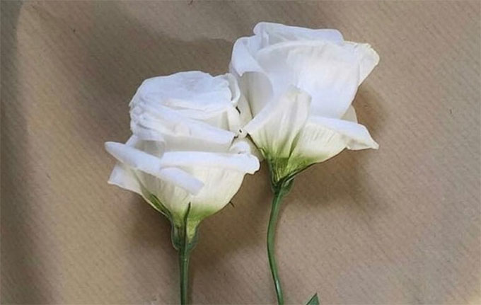 ��ʮһ���ĳһ��