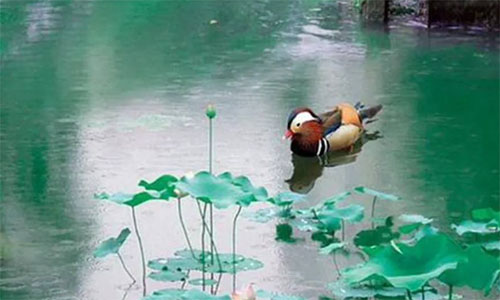 ɽ�Ӵ�������