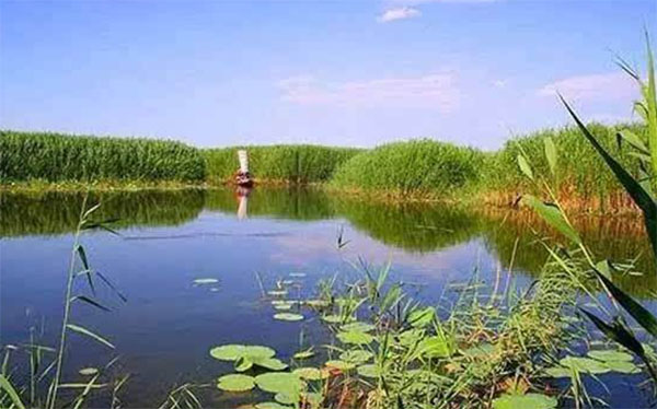 ����ʰ��