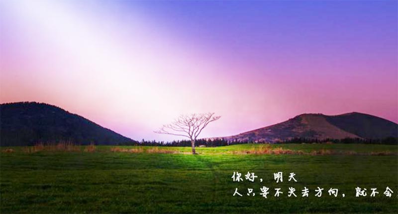 Ҳ�������졭��