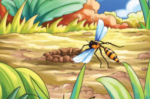 ������ǡ������800�ֳ���