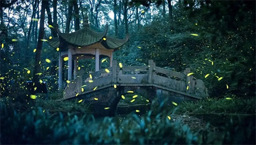 ��ҹ������