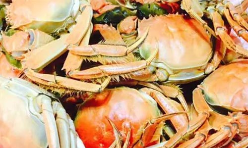 ����ҵ�С�з�������300��