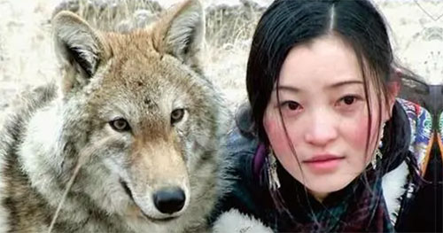 ���������ط���Ⱥ�������800��