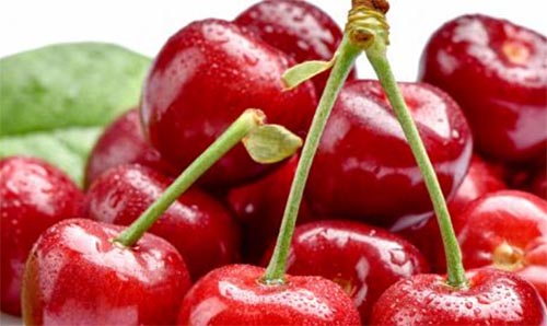 ɽ������