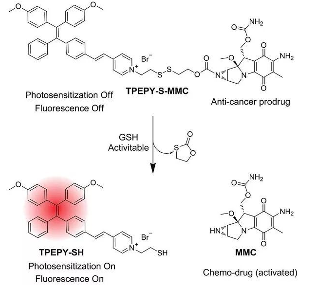 TPEPY-S-MMC的化学结构，以及药物和光动力学机理