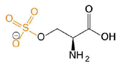 磺酸化丝氨酸，O-Sulfo-L-serine，Ser(SO3H2)