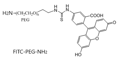 荧光素-聚乙二醇-氨基 荧光标记 FITC-PEG-NH2