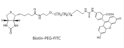 荧光素-聚乙二醇-生物素 荧光标记 FITC-PEG-Biotin